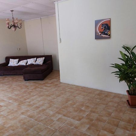 Appartement Mi Hogar à Julianadorp Extérieur photo